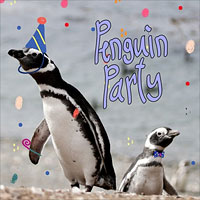 (Penguin Party!)
