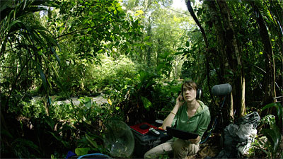 (Scientist Listening to Soundscape in Costa Rica)